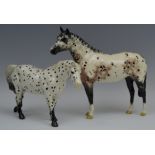 A Beswick Appaloosa stallion, modelled by Arthur Gredington, 20cm high, printed mark, model no.