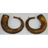 A pair of 19th century ram horns,