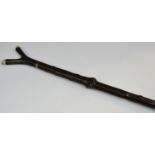 Walking Sticks - a blackthorn buffalo and raw horn thumb stick