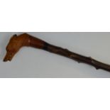 A blackthorn walking stick, well carved by Stan Randall, with fox mask,