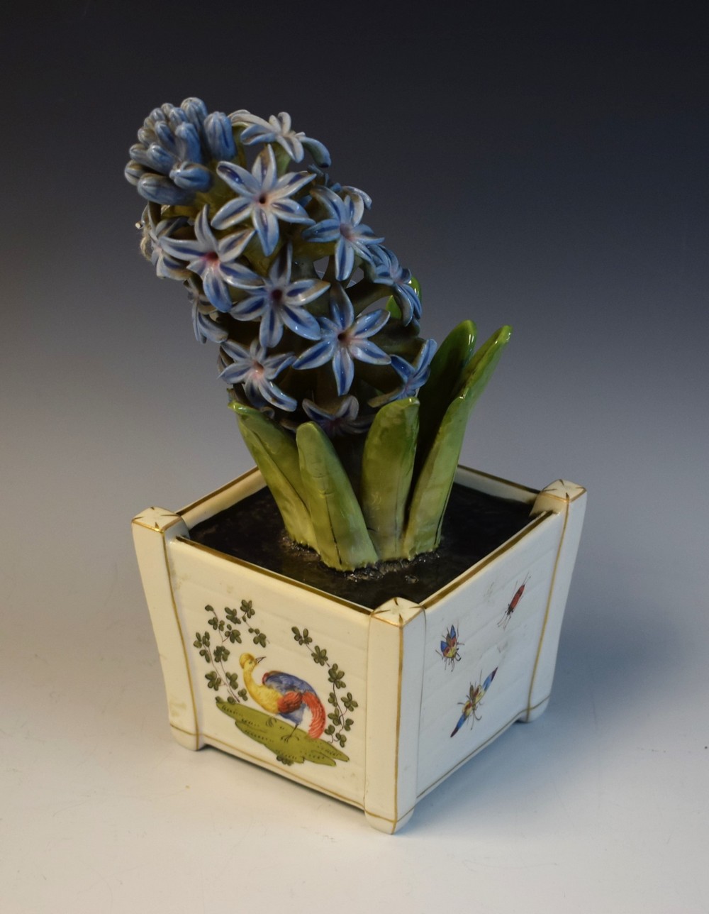 A continental model, of a Hyacinth in a tapering square pot,