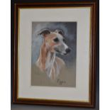 Lyn Dixon Pippin, Portrait of a Greyhound signed, pastel, 35.5cm x 25.