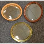 Two convex circular mirrors;