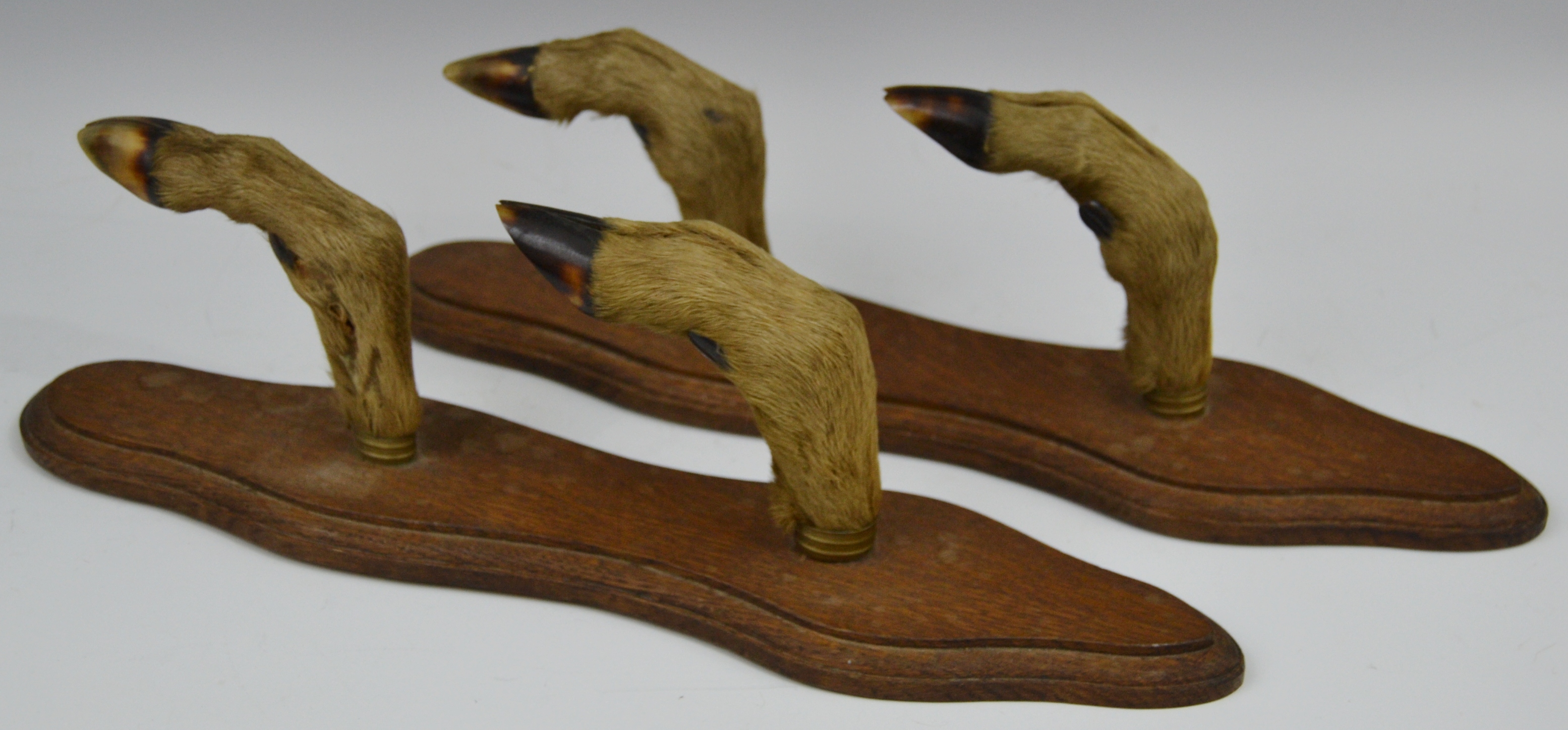 Taxidermy - a pair of wall hanging crop racks, each shaped oak mount with two hooves and fetlocks,