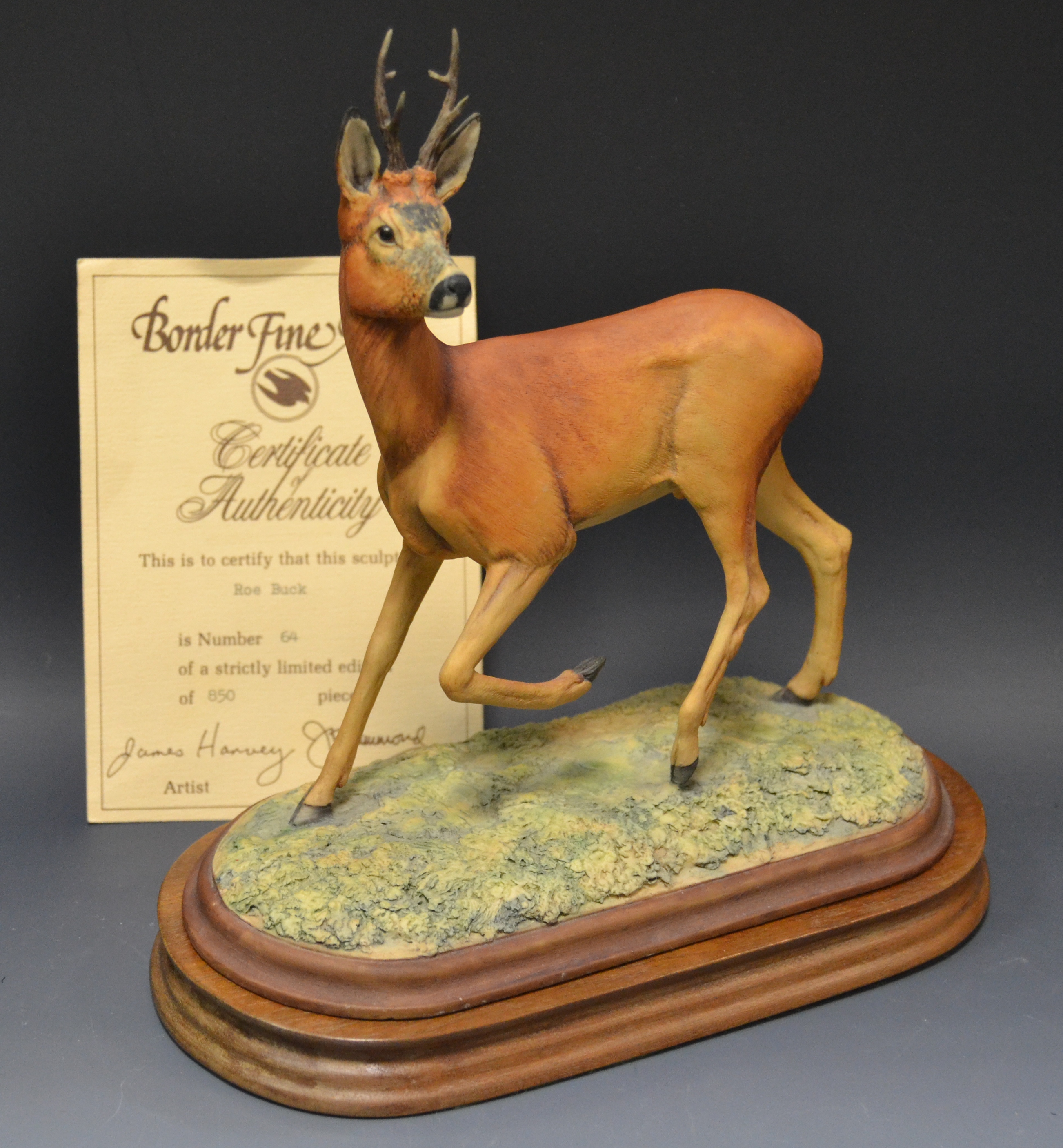 A Border Fine Art model, Roe Buck, designed by James Harvey, limited edition 64/850,