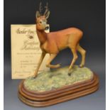 A Border Fine Art model, Roe Buck, designed by James Harvey, limited edition 64/850,