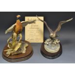 A Border Fine Art model, Pheasant Rising, designed by Falco, limited edition 382/850,