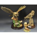 A Border Fine Art model, Owl, with wings outstretched, designed by Ayres,