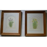A pair of floral prints in pine frames