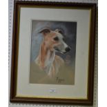 Lyn Dixon Pippin, Portrait of a Greyhound signed, pastel, 35.5cm x 25.