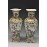 A pair of Chinese famille rose vases, decorated with a peony and blossoming branches,