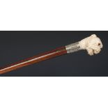 A 19th century ivory walking cane handle, carved as the head of a bulldog,