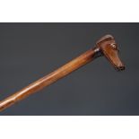 A 19th century gentleman's novelty walking cane, the handle carved as the head of a greyhound, 92.