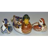 A Royal Crown Derby paperweight Mallard Duck, gold stopper,