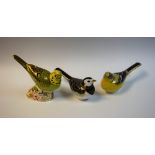 A Royal Crown Derby paperweight, Yellow Wagtail, gold stopper, boxed; other birds, Pied Wagtail,