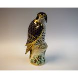 A Royal Crown Derby paperweight, Peregrine Falcon, gold stopper, 20cm printed marks,