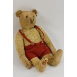 An early 20th century Steiff gold plush bear, tapering nose, glass eyes, centre seam body,
