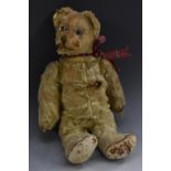 An early 20th Century mohair bear, with small ears, horizontal stitched snout, 31cm long,