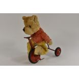 A mid 20th century mohair bear, riding a red metal tricycle, the bear with small ears, red top,