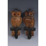 A pair of Black Forest type novelty coat hooks, each carved as an owl perched on a branch,