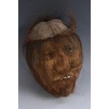 Folk Art - a coconut, in the rough, carved and decorated with a comical face,