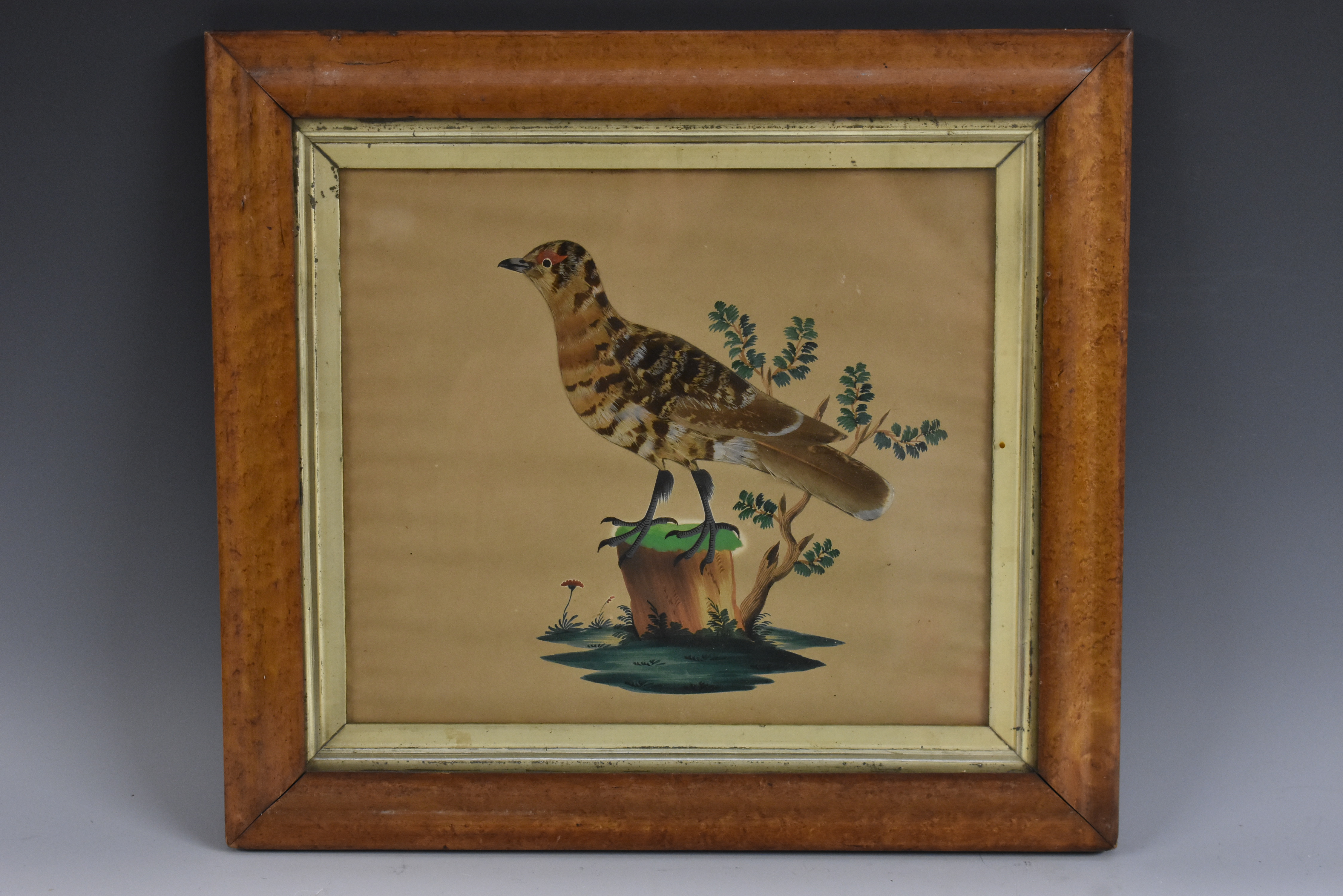 A 19th century feather picture, depicting a grouse perced on a tree stump, watercolour ground, 23.