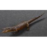 Natural History - Taxidermy - a preserved juvenile alligator,