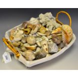 Conchology - assorted sea shells including cowrie scallop etc