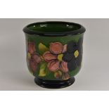 A Moorcroft Clematis pattern jardinière, tube lined with large purple flowerheads on a green ground,