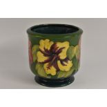 A Moorcroft Hibiscus pattern jardinière, tube lined with large purple flowerheads on a green ground,