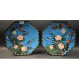 A pair of cloisonné octagonal plaques, floral decoration, birds, on turquoise ground,