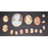 An assortment of shell cameos,