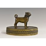 A 19th century French dark patinated bronze desk weight, as a pug, oval base with anthemion border,