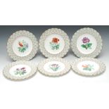 A set of six Minton botanical dessert plates, decorated with various flower samples,
