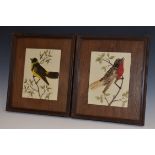A pair of Victorian feather pictures, each as a bird on a leafy branch, 22cm x17cm, c.