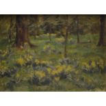 Impressionist School Daffodils in a Woodland oil on panel,