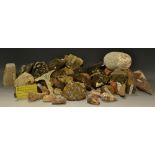 Geology and Conchology - various specimens including pyrite,