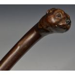 A Stan Randall blackthorn one piece walking stick, carved with a Staffordshire Bull Terrier mask,