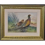 J**E**Dean Cock and Hen Pheasants signed, watercolour,