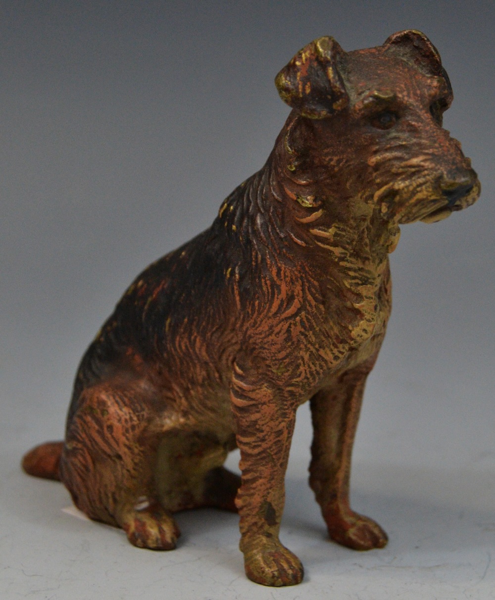 An Austrian cold painted bronze model, of a terrier, seated, 9cm high,