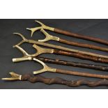 Walking Sticks - seven antler hafted thumb sticks,