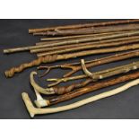 Walking Sticks - eleven blank shafts to be worked; others,