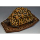 An Anglo-Indian novelty tortoise caddy or box, formed from a well figured shell and plastron,