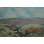 Bernard H Wiles Sheep Grazing on Kinder, Peak District signed, watercolour, 36cm x 51.