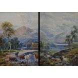Edith Barclay (early 20th century) A pair, Scottish Highland Cattle signed, watercolours, 33cm x 23.