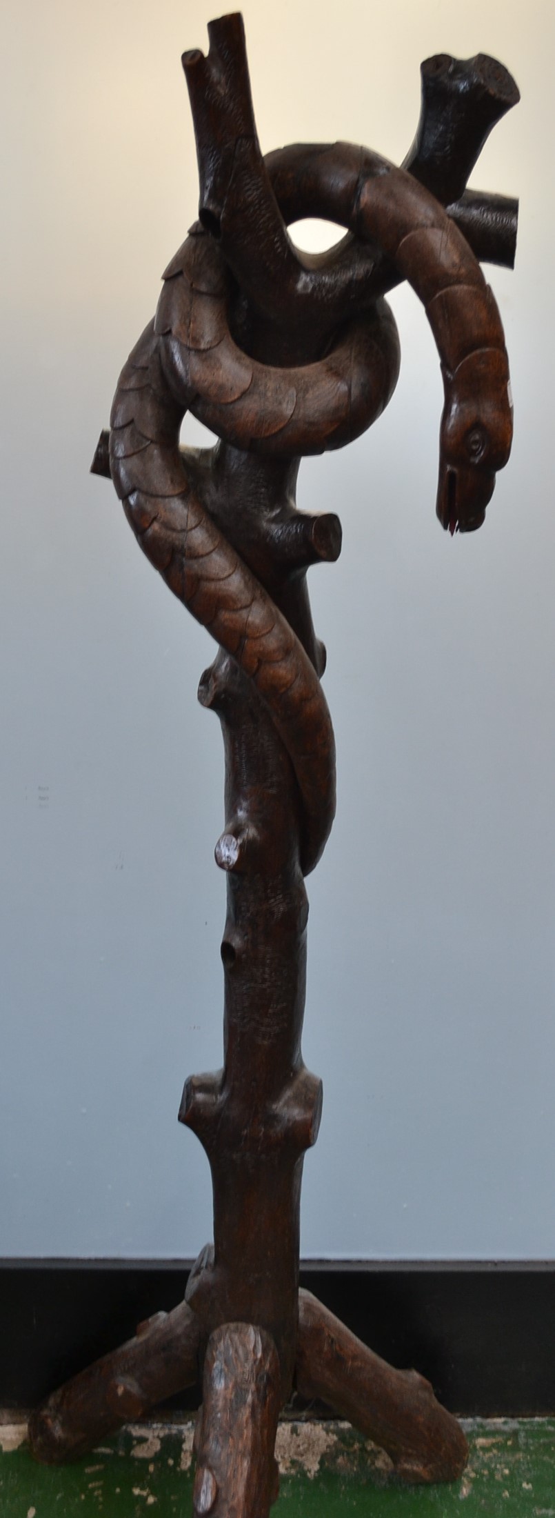 A hardwood sculpture, carved as a serpent entwined within a branch,