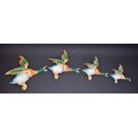 A set of four Beswick Mallard flying ducks,