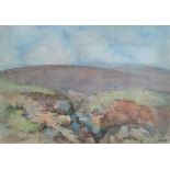 Bernard H Wiles Sheep Grazing on Kinder, Peak District signed, watercolour, 36cm x 51.