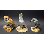 A Royal Crown Derby model, Barn Owl, signed N Dudley, boxed; another, Kingfisher, signed,