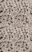Brand New Click Props 7x9.5 Ft Roses White Photographs Vinyl Background RRP £149.99